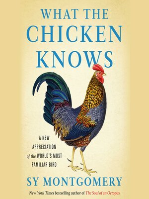 cover image of What the Chicken Knows